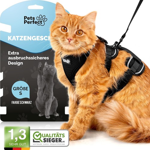 Katzen geschirr set mit - katzen,