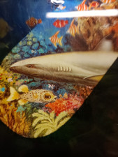 LICHT AN:  Kinderbuch "Tiere im Meer" mit "Taschenlampe"