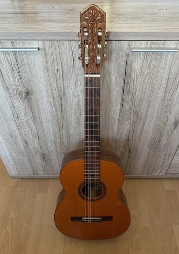 Seltene gitarre giorgio - seltene,