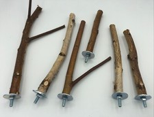 6 Natur-Sitzstangen (y und