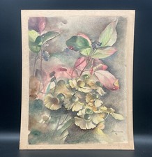 Aquarell bleistift blühender - bleistift,