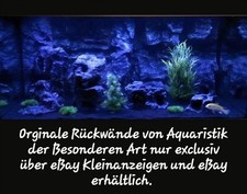 Aquarium Rückwand