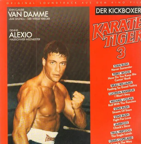 Karate tiger der - der, kickboxer