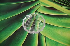 Lüsterschale, Tropfschale, für Pusteblume DDR Kronleuchter Lüster Chandelier 