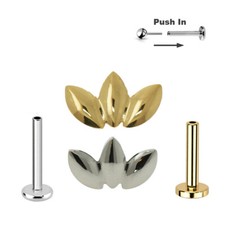 Titan Blüte Gold Steck system