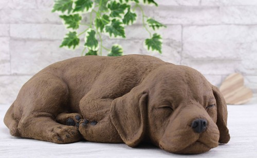 Steinfigur hund schlafend - hund,