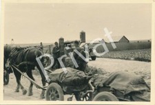 Photo wwii jäger div - photo,