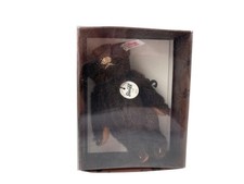 Steiff Tier Teddy Bär Club