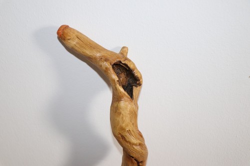 Gehstock wanderstock holz - wanderstock,