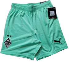 Puma borussia mönchengladbach - puma,