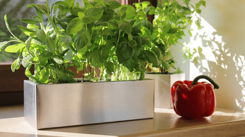 Pflanzgefäß blumenkübel - pflanzgefäß,