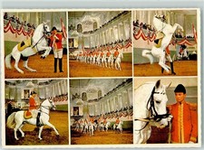 10277642 - Wien Spansiche