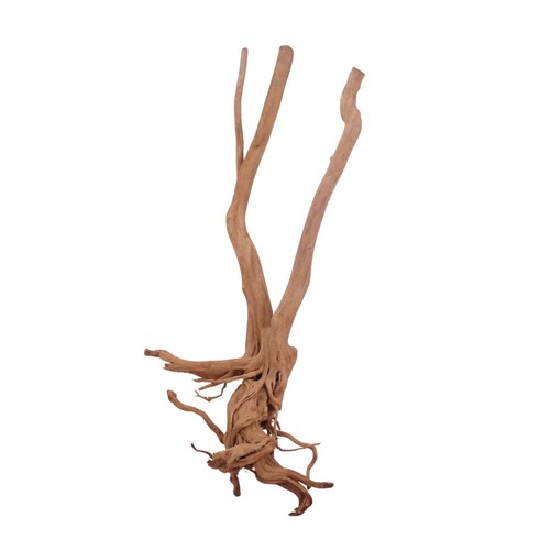 Aquarium wurzel deko stump - aquarium,