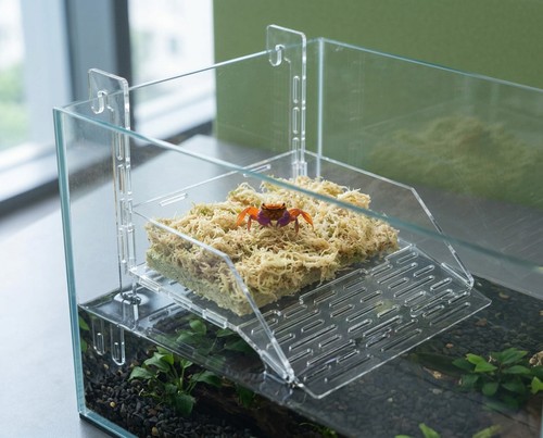 Natureholic geosesarma base - natureholic,