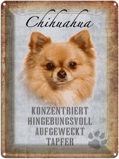 Blechschild 40x30 cm Chihuahua