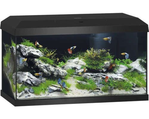 Aquarium set juwel - set,