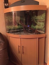 Süßwasser Aquarium Juwel 190 Liter Kombination mit Unterschrank