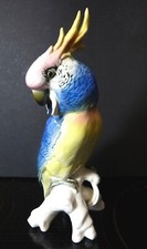 Karl ENS KAKADU Papagei Vogel