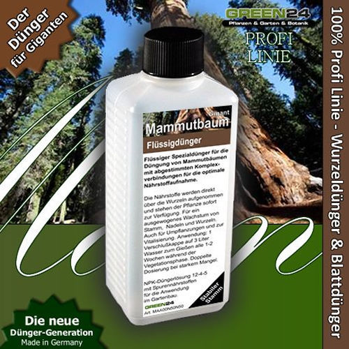 Mammutbaum premium - mammutbaum,
