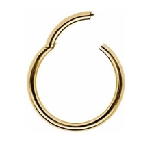 CLICKER SEGMENTRING PIERCING UNIVERSAL SEPTUM HELIX TRAGUS NASE OHR 23 VARIANTEN