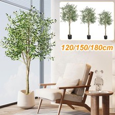 DE STOCKOlivenbaum Künstlich