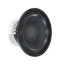 Visaton PAW 25 25 cm (10“)