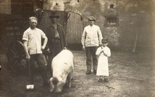 Foto Ak Hausschlachtung