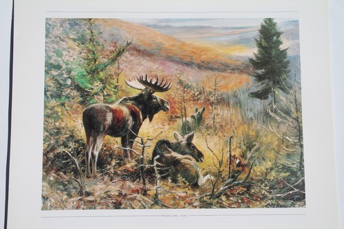 Elche kunstdruck 30 cm - 40,
