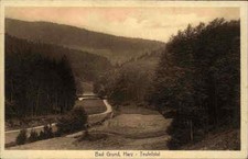 BAD GRUND Niedersachsen alte Postkarte um 1910/20 Partie Teufelstal Verl. Neuner