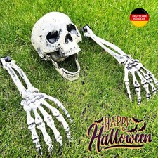 Skelett-Teile Knochen