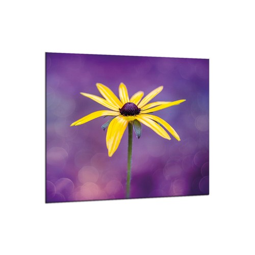 Küchenrückwand glas 65x60 - glas,