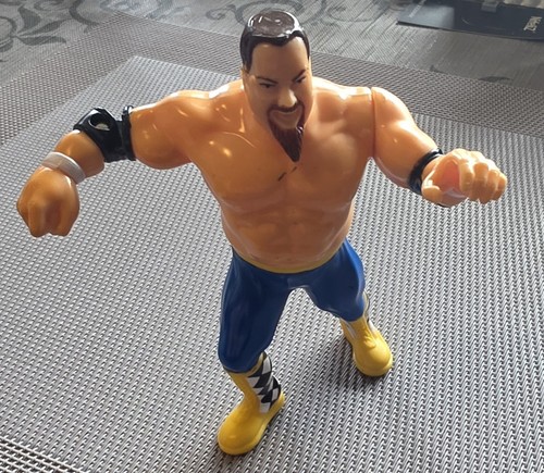 Hasbro titan sports - sports, wwf