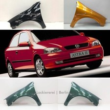 KOTFLÜGEL LACKIERT IN