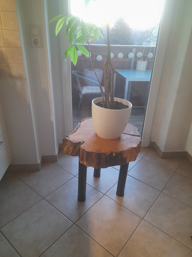 Holz beistelltisch baumscheibe - holz,