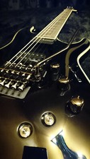 Schecter "Black Jack" mit Sustainiac und Koffer (neuwertig)