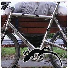 Fahrradaufkleber Gecko Gekko Echse Fahrrad Aufkleber Sticker SET Eidechse F080