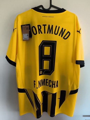 Bvb borussia dortmund 2024 - dortmund, 2024-25