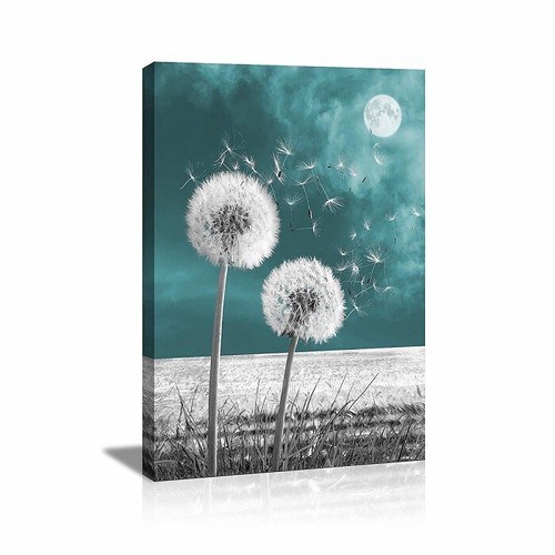 Bilder leinwand pusteblume - bilder,