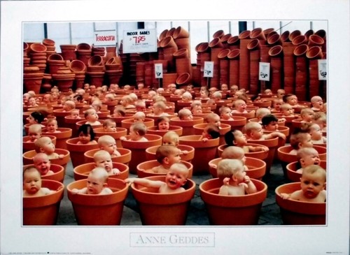 Anne geddes 1993 - anne,