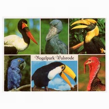 AK Vogelpark Walsrode /