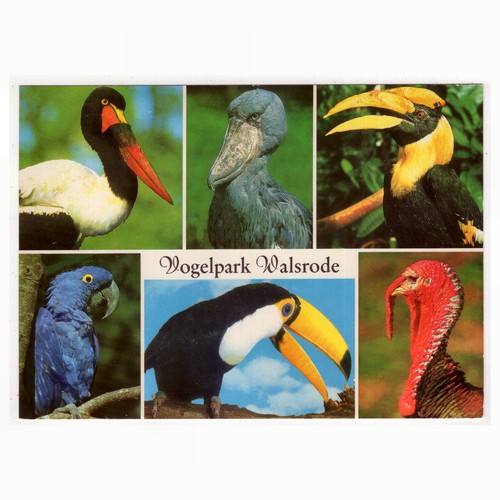 Vogelpark walsrode - ak,