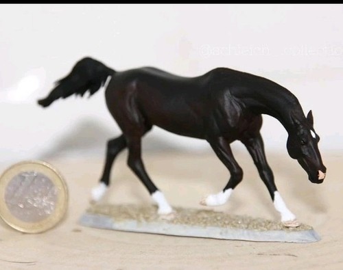 Resin achal tekke custom - resin,