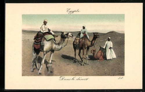 Ansichtskarte ägypten kamele - Ägypten,,