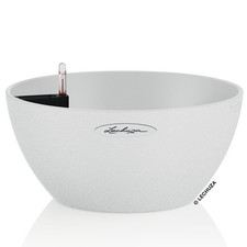 LECHUZA® Pflanzschalen CUBETO