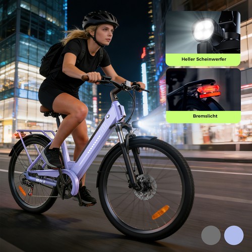 Elektrofahrrad 250w 36v 13ah - elektrofahrrad,