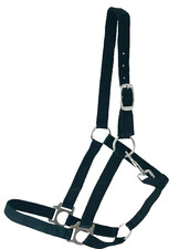 Halfter  1 x Mini Shetty grün