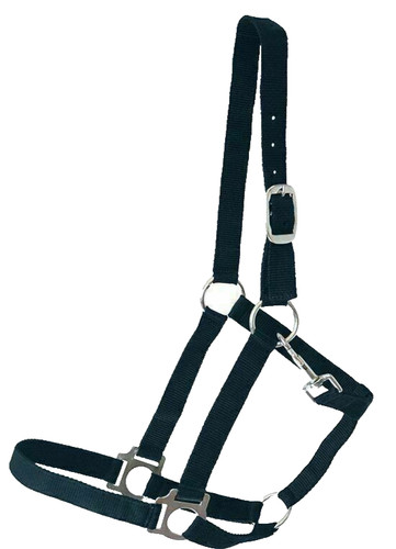 Halfter mini shetty grün - x,