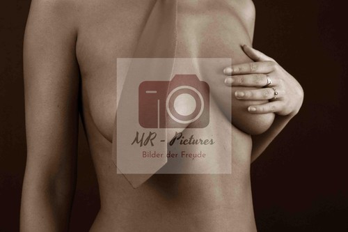 21471 erotisches pin up - nr.,