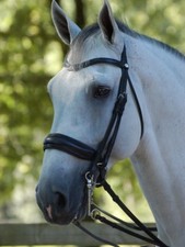 Dyon Curb Kandarenzaum with