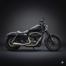 2 in 1 Auspuffanlage HARLEY